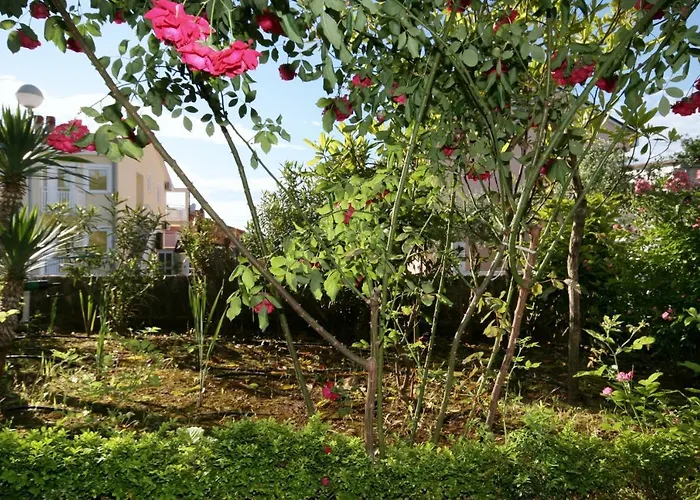 Apartman 5398h *